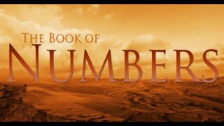 Numbers Chapter 14; God’s People Rebel…AGAIN!