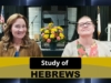 Study of Hebrews 10